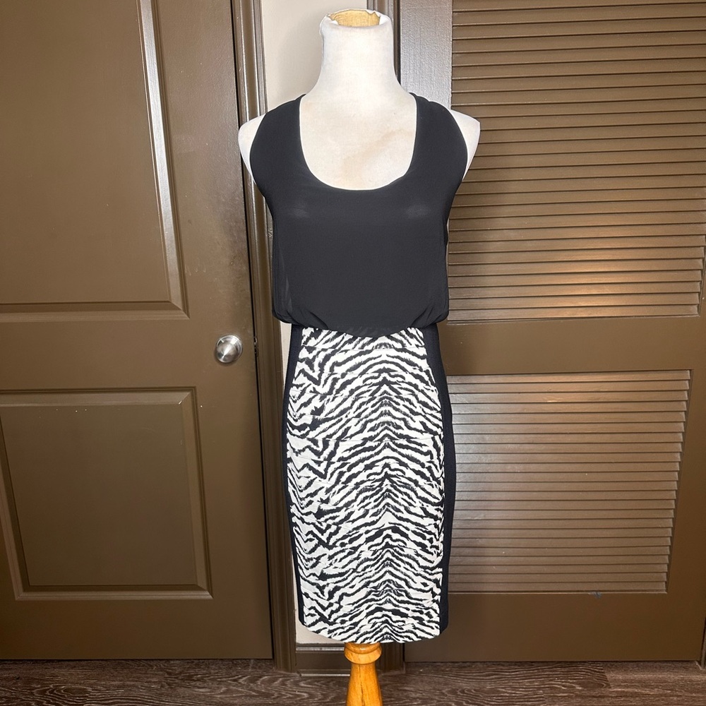 Express Zebra Print Dress.